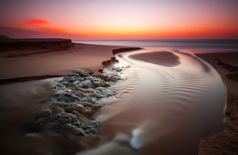 Evening Tenderness.photo preview