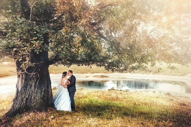 Реликтовый дубphoto preview