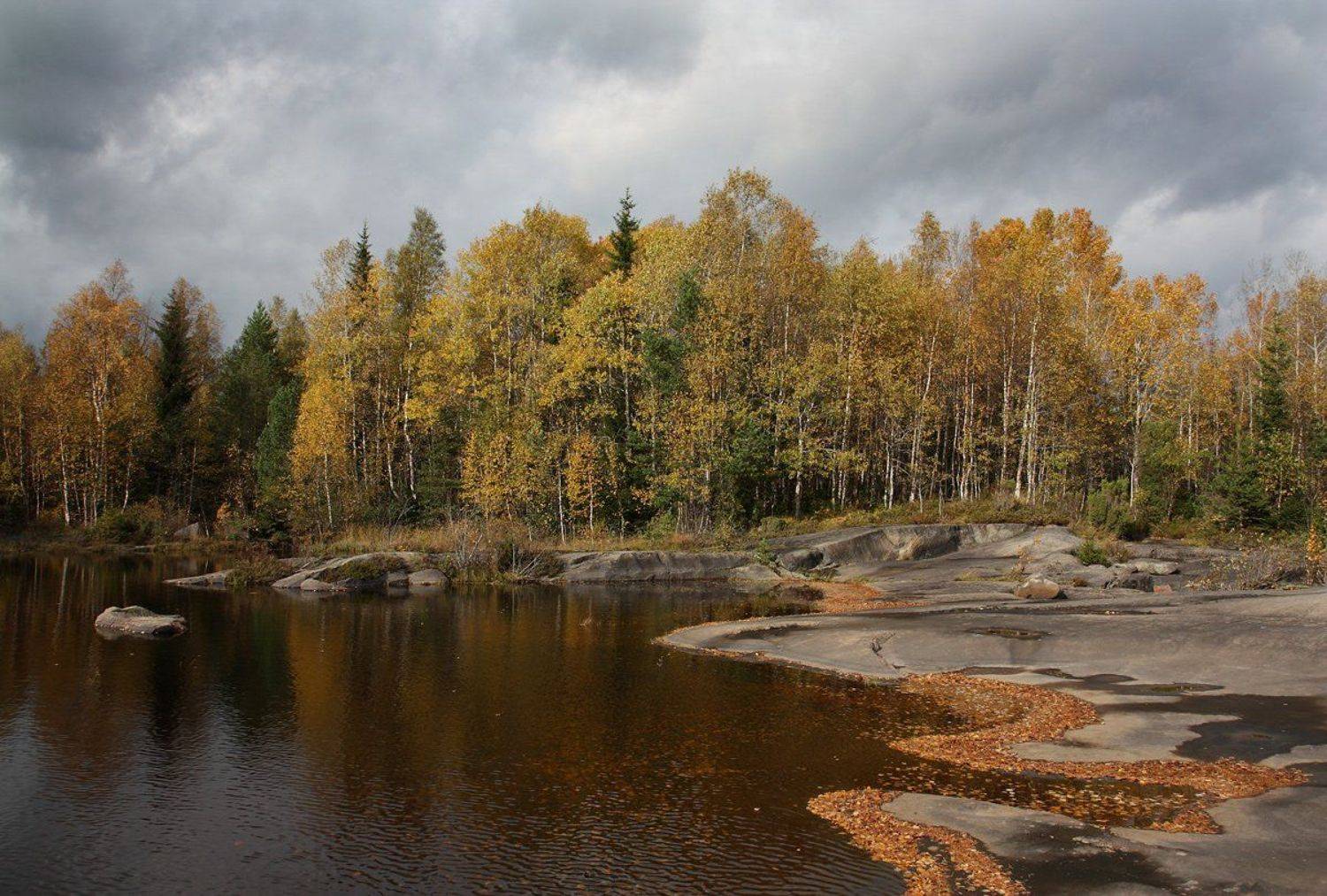, Андрей Котов
