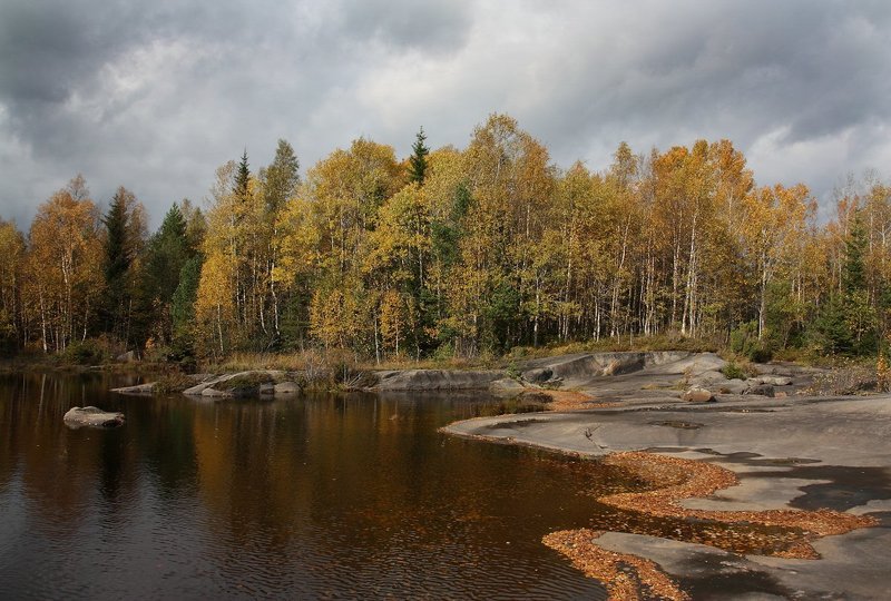 Осенняяphoto preview