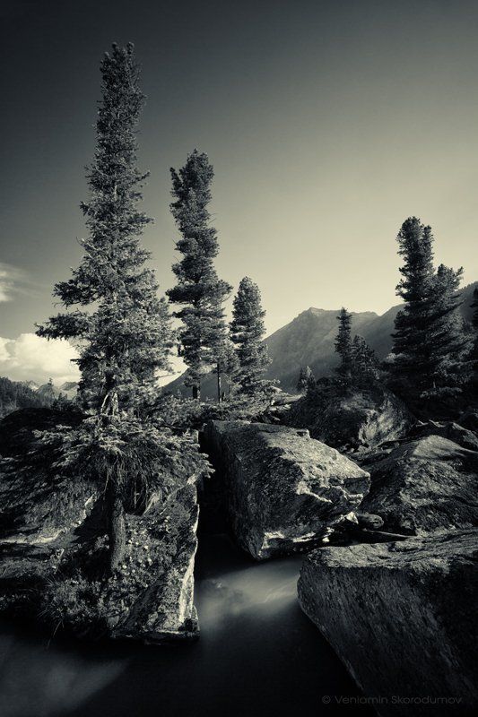 На камнях фото превью