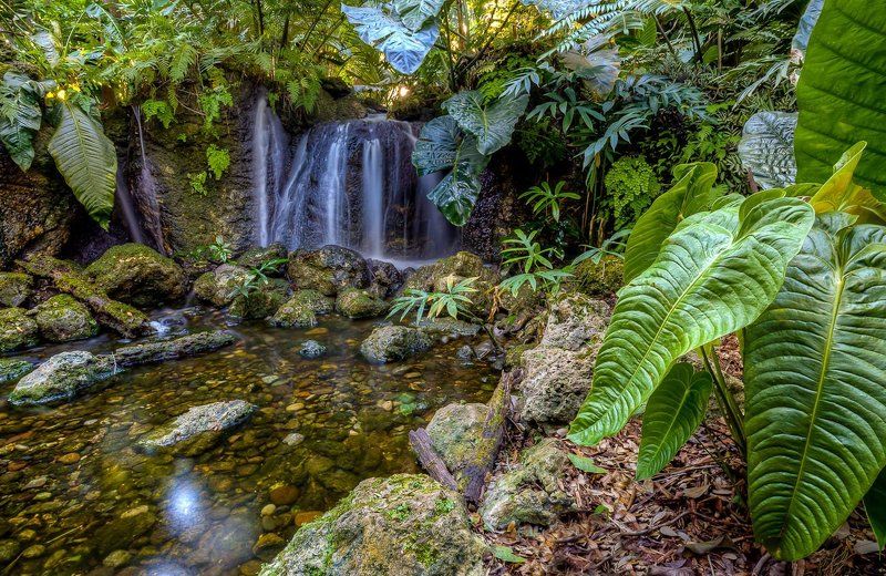 Tropical waterfallphoto preview