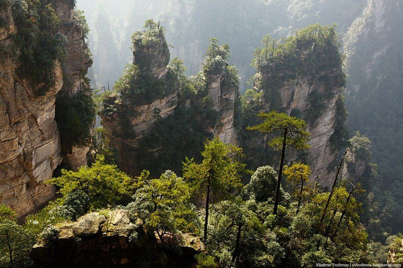 zhangjiajie, china О камнях и деревьяхphoto preview