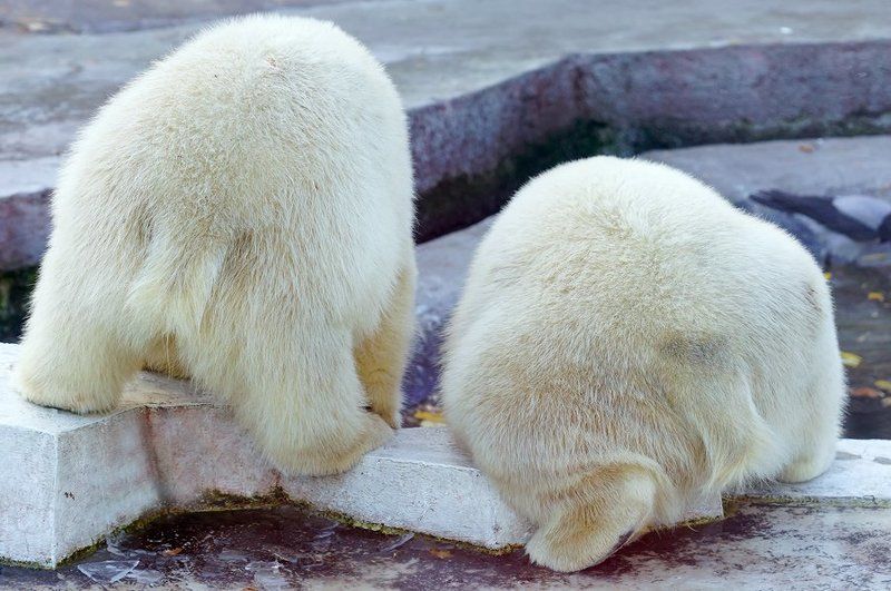 Упс...:-)photo preview