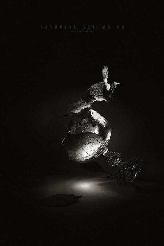 Savoring autumn #4photo preview