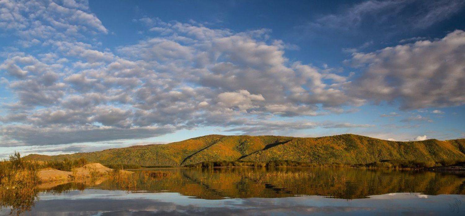 ***. Автор: Виктор Бут , Виктор Бут