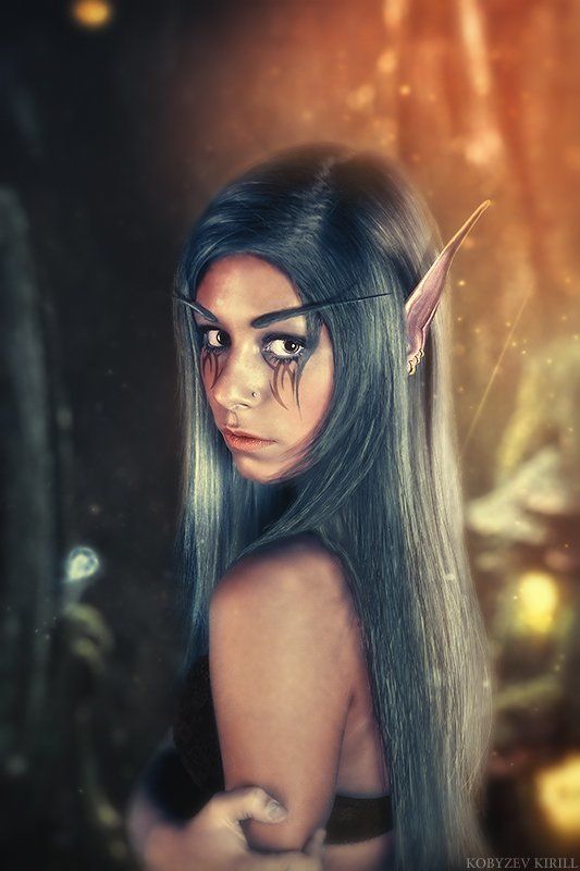 Night Elfphoto preview