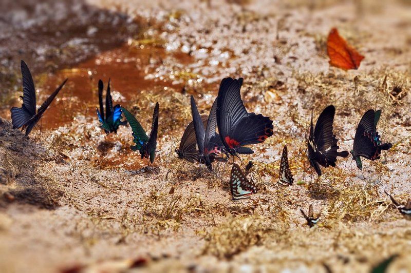 Партсобрание...photo preview