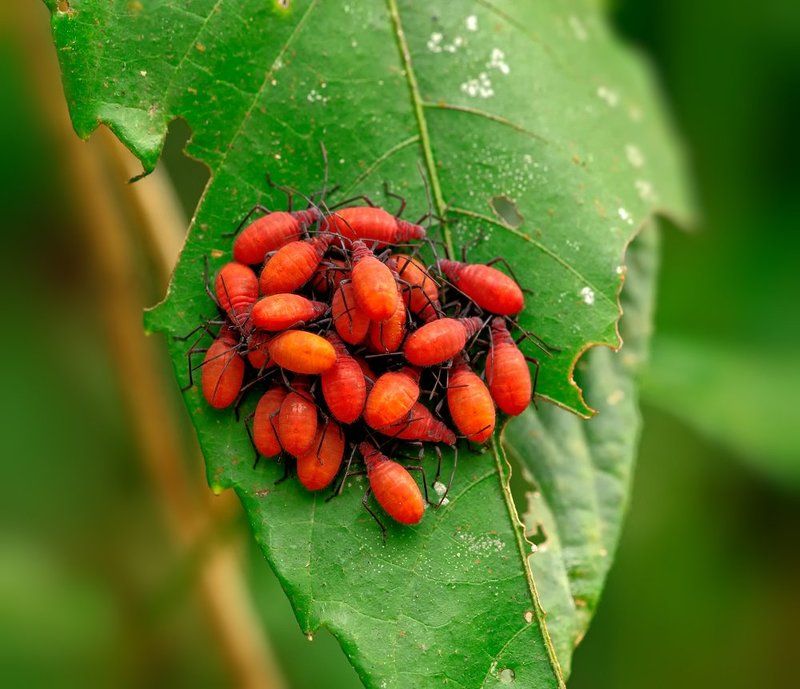 Междусобойчик...photo preview