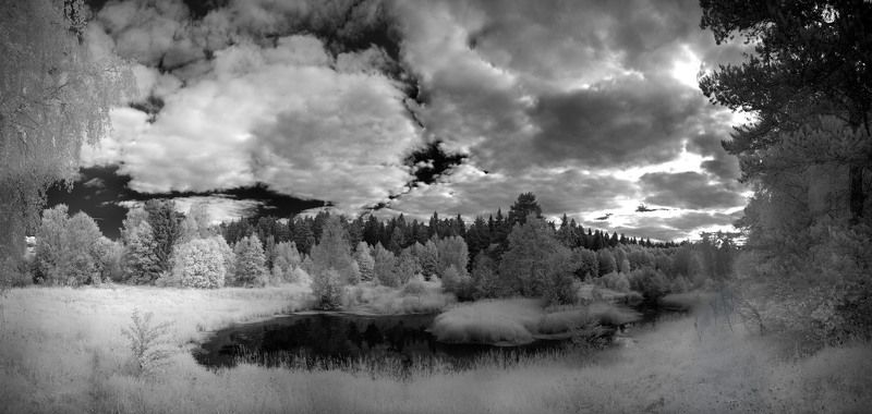 Пружонка.photo preview