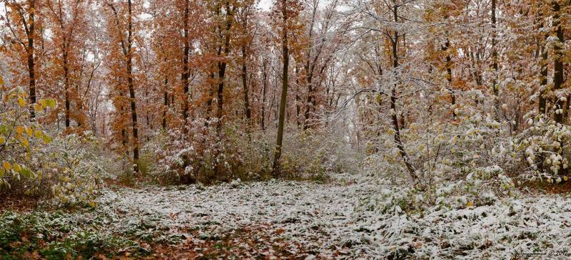 Зима-осеньphoto preview