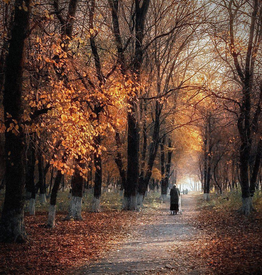 Однажды осенью. Автор: Игорь Мелекесцев , Игорь Мелекесцев