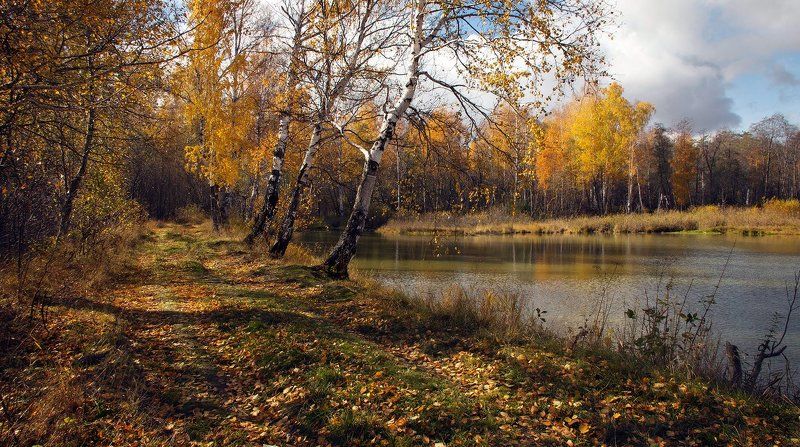 Осенняя зарисовкаphoto preview