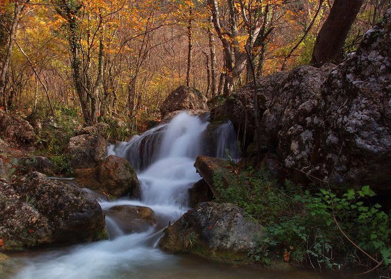 Осень не унятьphoto preview