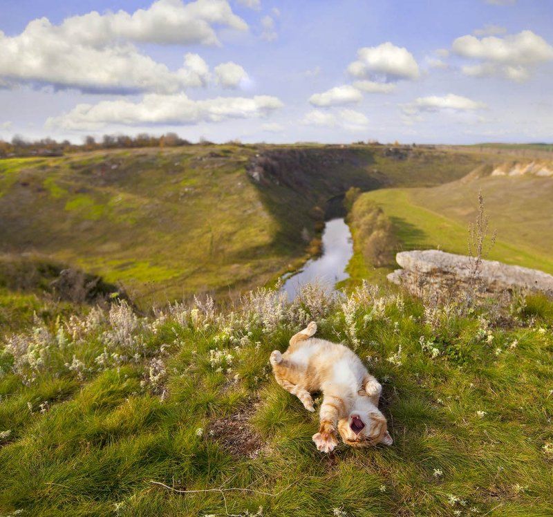 Ой, ты жизнь раздольнаааяяяяphoto preview