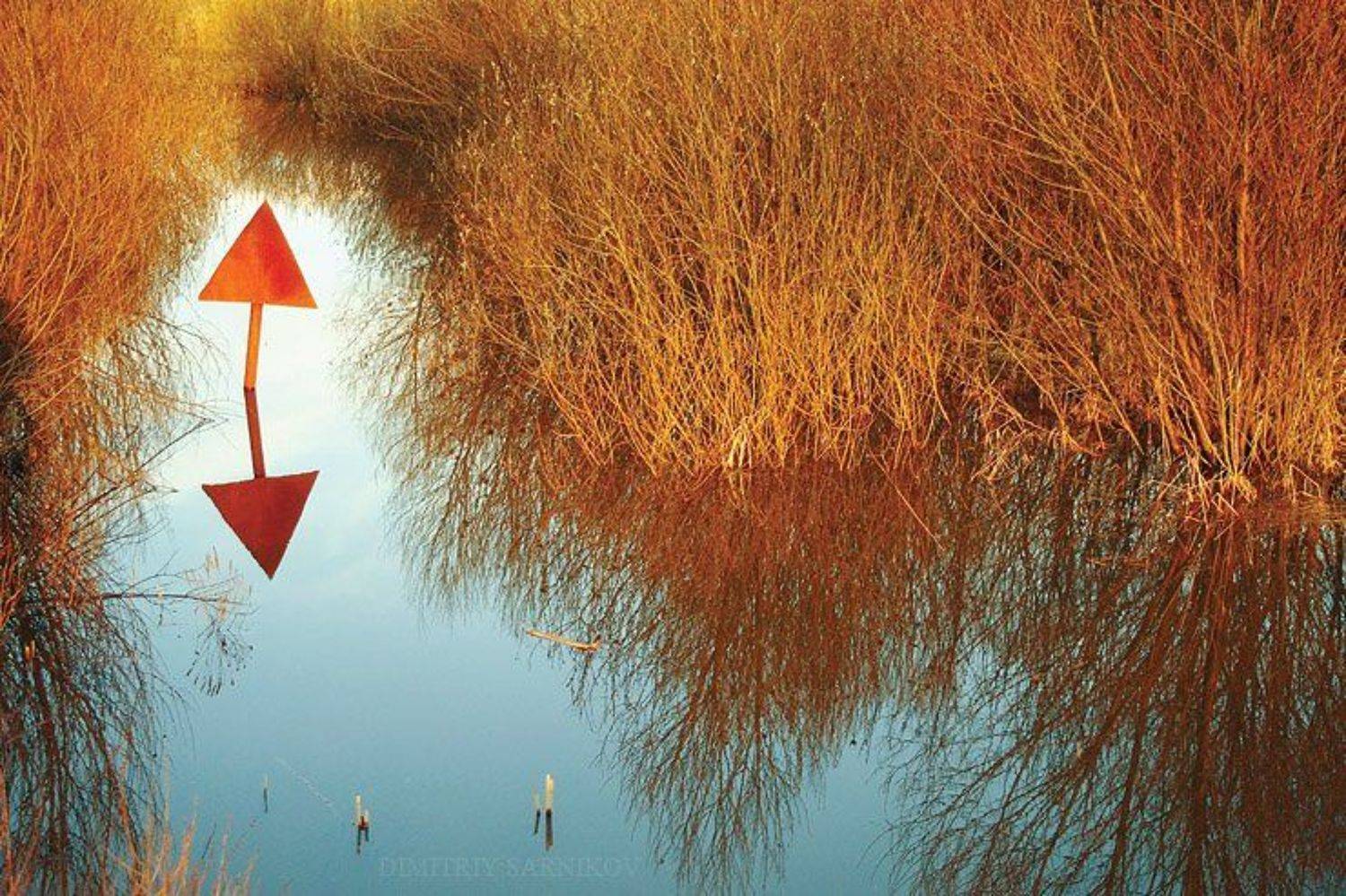 ***************************. Автор: Dima Sarnikov , Dima Sarnikov