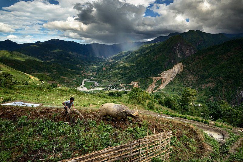 Один день из жизни современного крестьянина.photo preview