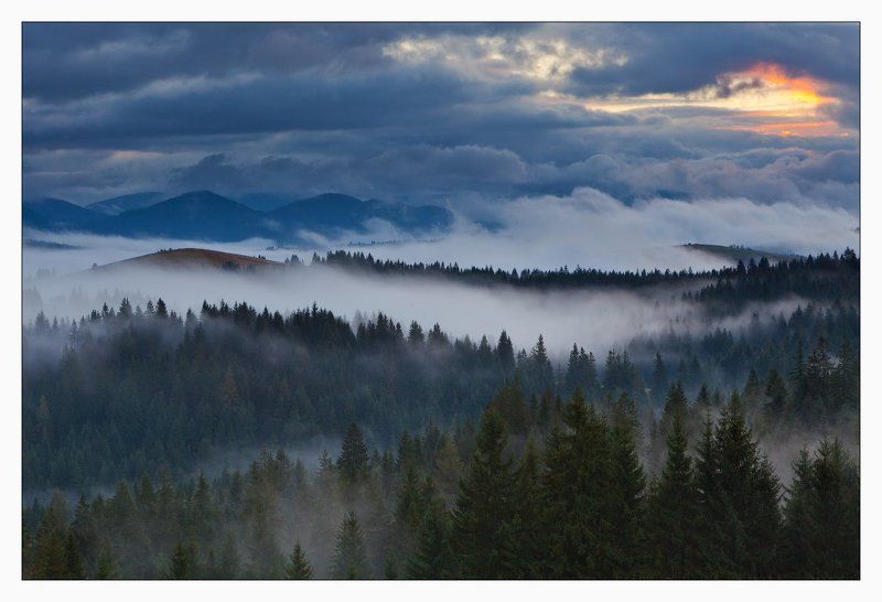 карпаты НОЯБРЬ В КАРПАТАХphoto preview