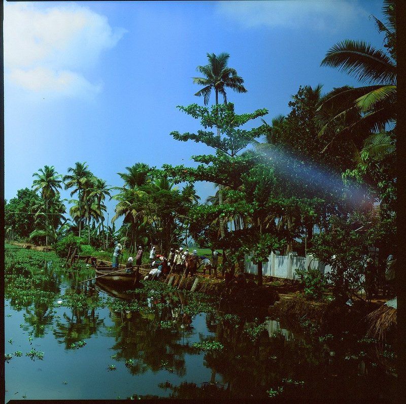 индия, backwaters, лодка, канал, пальма Жизнь каналов Backwatersphoto preview