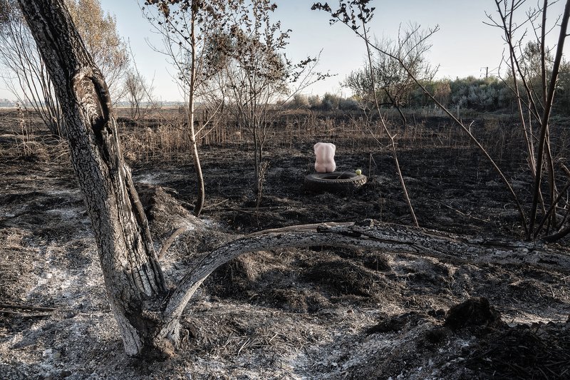 пейзаж, ню, голый, торс, пепелище Адам 2.0photo preview