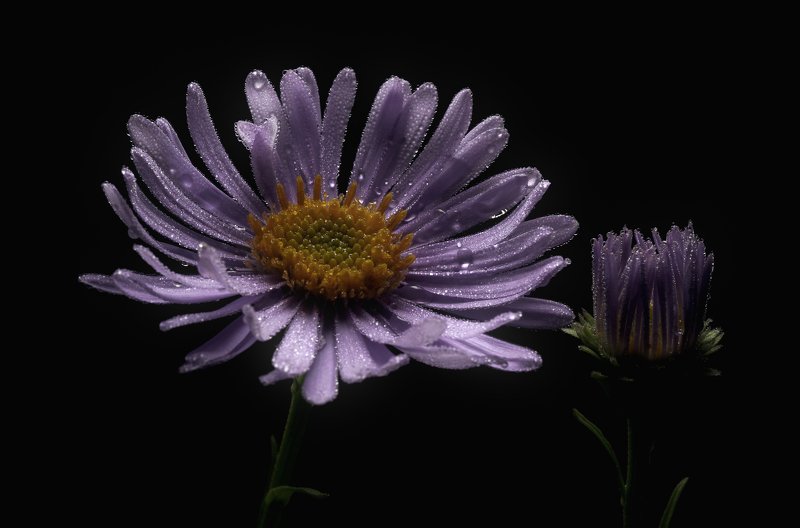 Сосотояниеphoto preview