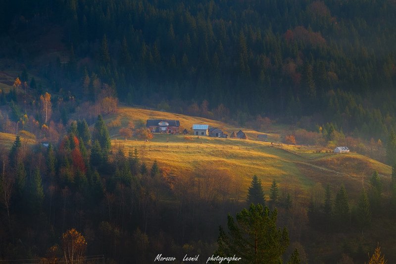 #nature, #туман, #лес, #oсень, #украина, #карпаты, #пейзаж, #закат, #туман, #солнце, #свет, #mountain range, #mountains, #туризм, #лес, #nature, #природа, Карпати фото превью