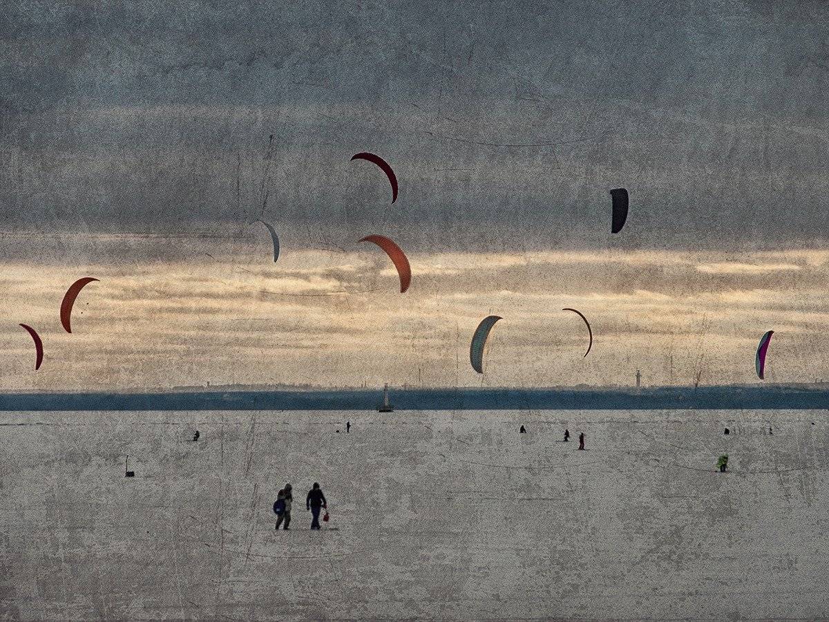 Лепестки. Автор: Штабнов Юрий , Штабнов Юрий