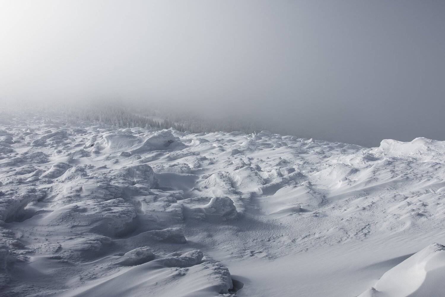 *******. Автор: Андрей Шарапов , Андрей Шарапов