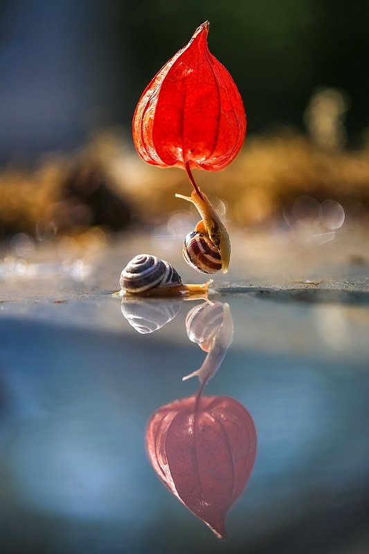 За 80 дней вокруг света.photo preview