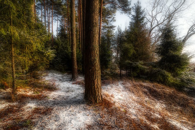 Про рассыпавшуюся пудруphoto preview