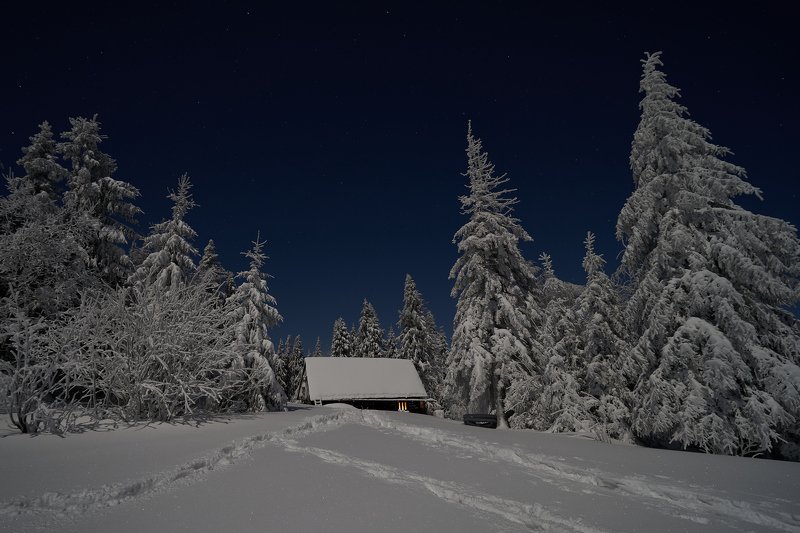 mist,mountains,hut,sunrise,tree,cold,frozen,snow Hut3photo preview