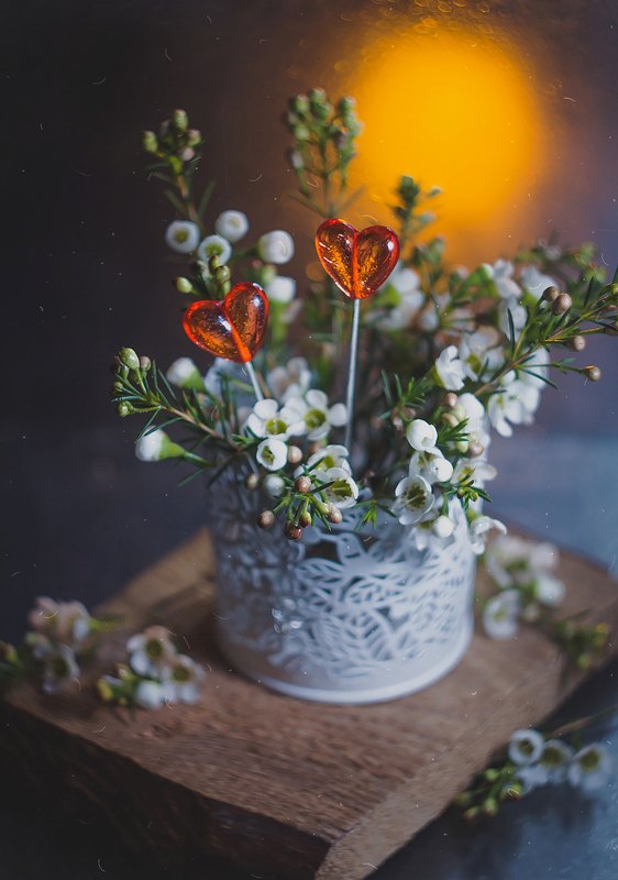 боке, закат, цветы, сердце, красный, брызги, натюрморт, гелиос, still life Два сердцаphoto preview