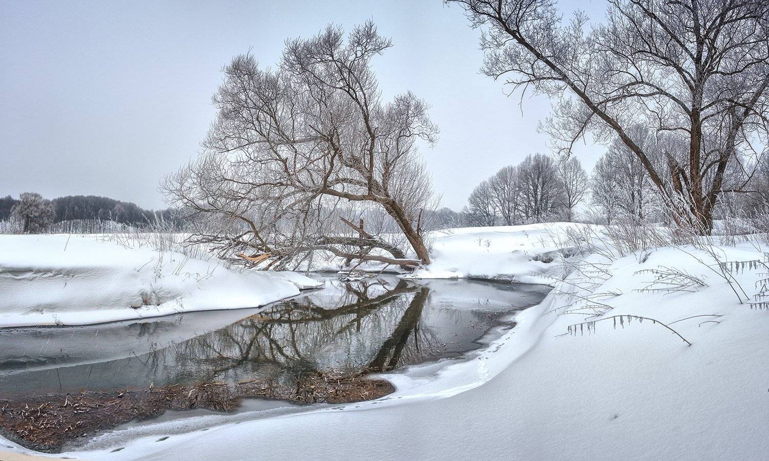, Николай Андреев