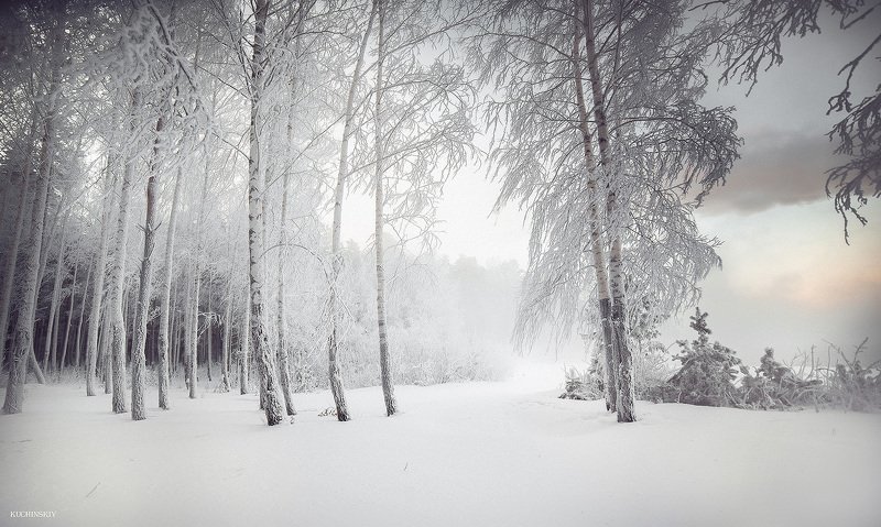 Белая мглаphoto preview