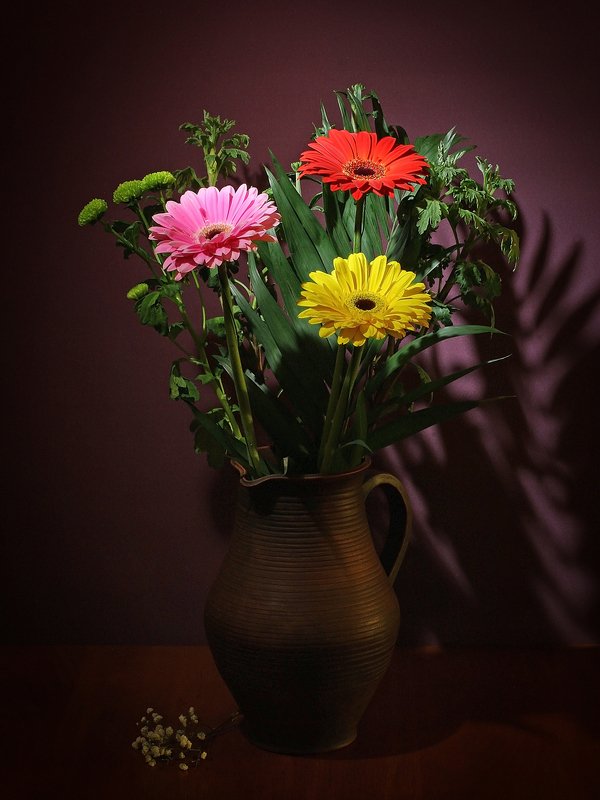 Герберыphoto preview