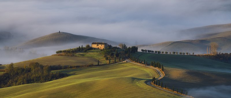 Terrapillephoto preview