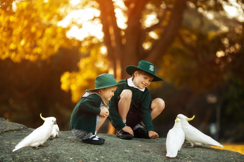 Друзьяphoto preview