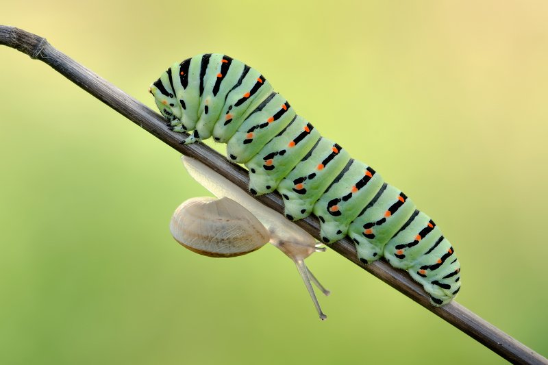 Up and downphoto preview