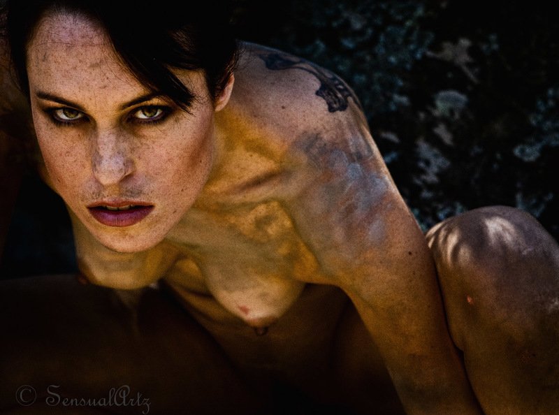 female, woman, nude the cat womanphoto preview