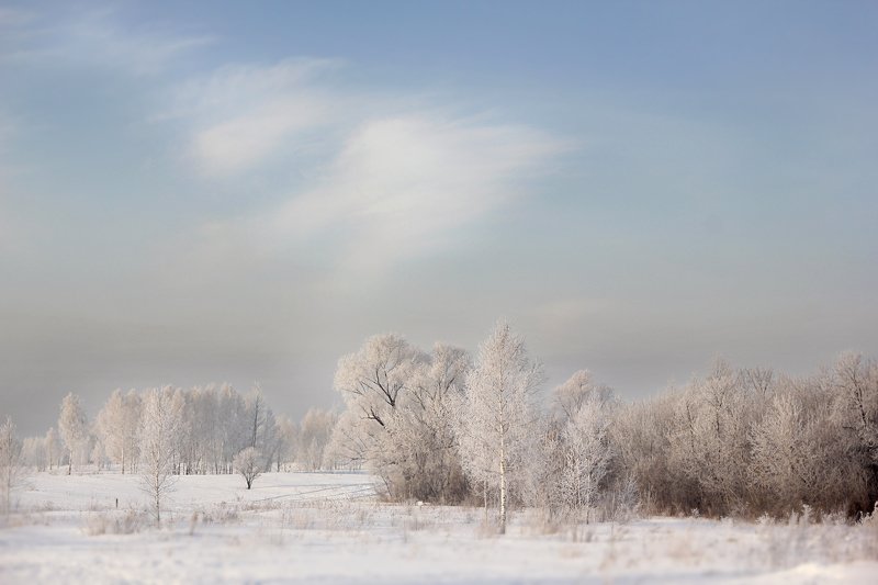 зимаphoto preview