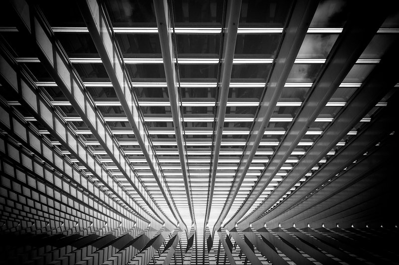 La-gare-des-Guillemins-1photo preview