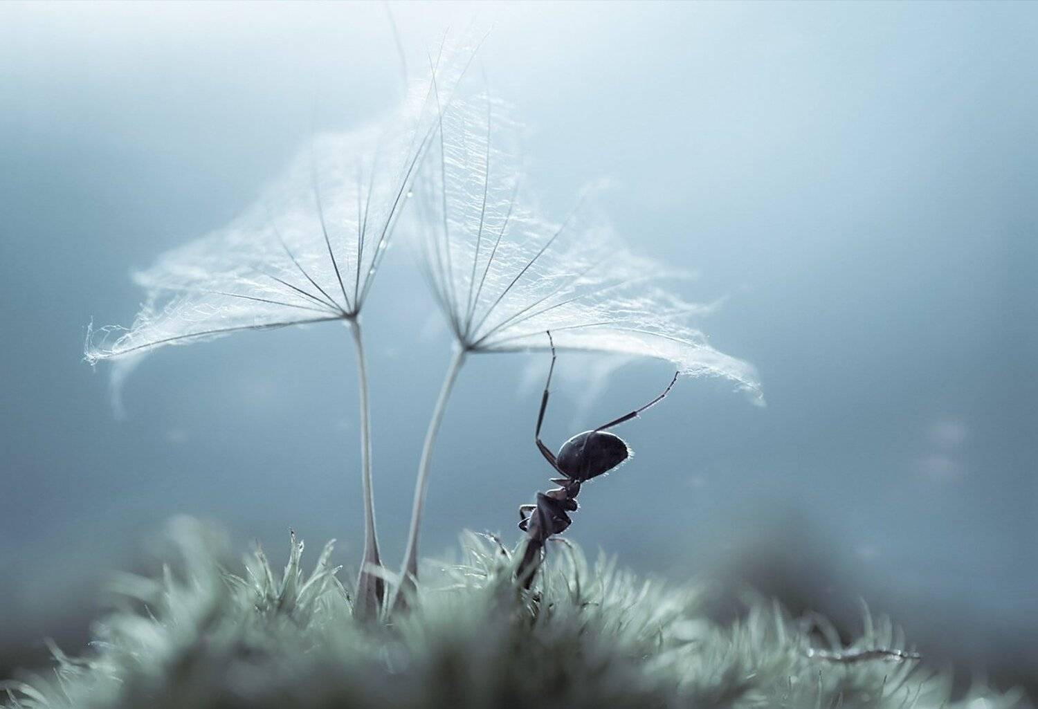 В поисках сокровищ. Автор: Лапшина Владлена , Лапшина Владлена