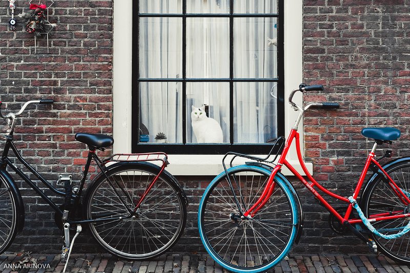 Утрехтphoto preview