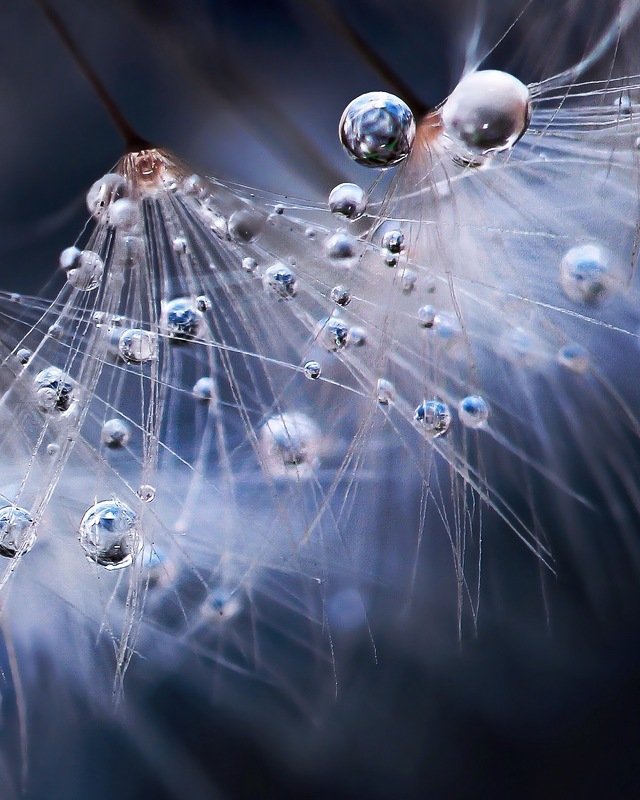 своя вселеннаяphoto preview