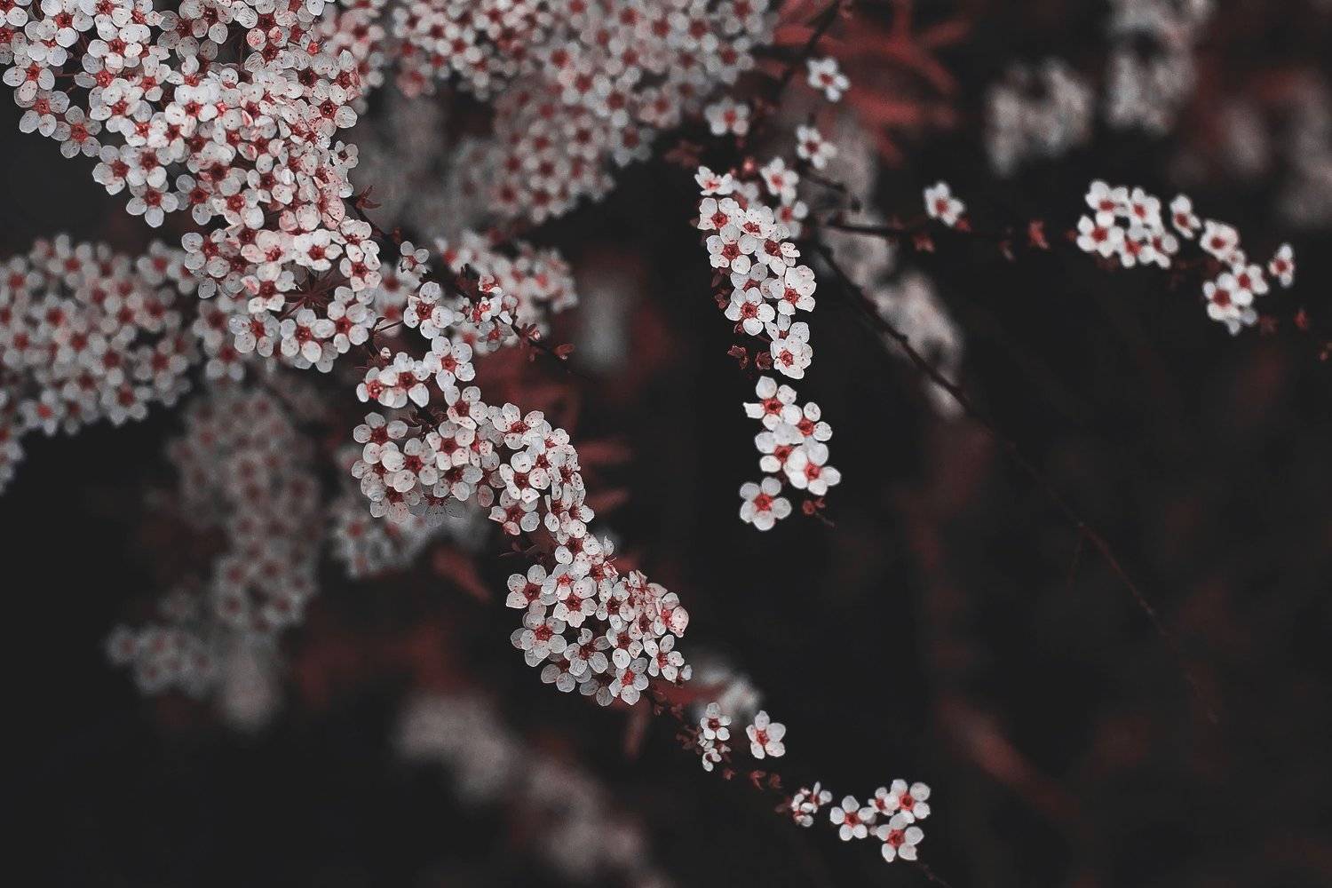 , Полина Хрол