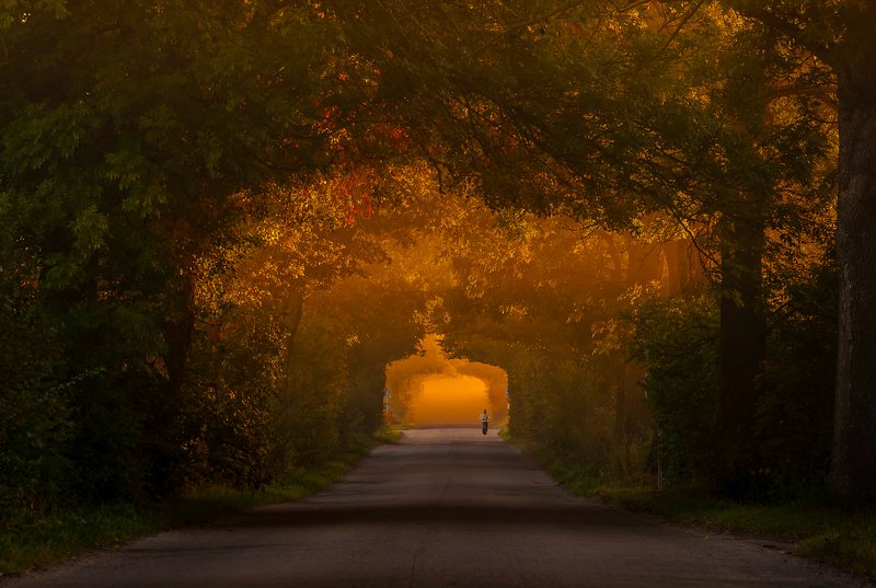 I walk around Warmiaphoto preview