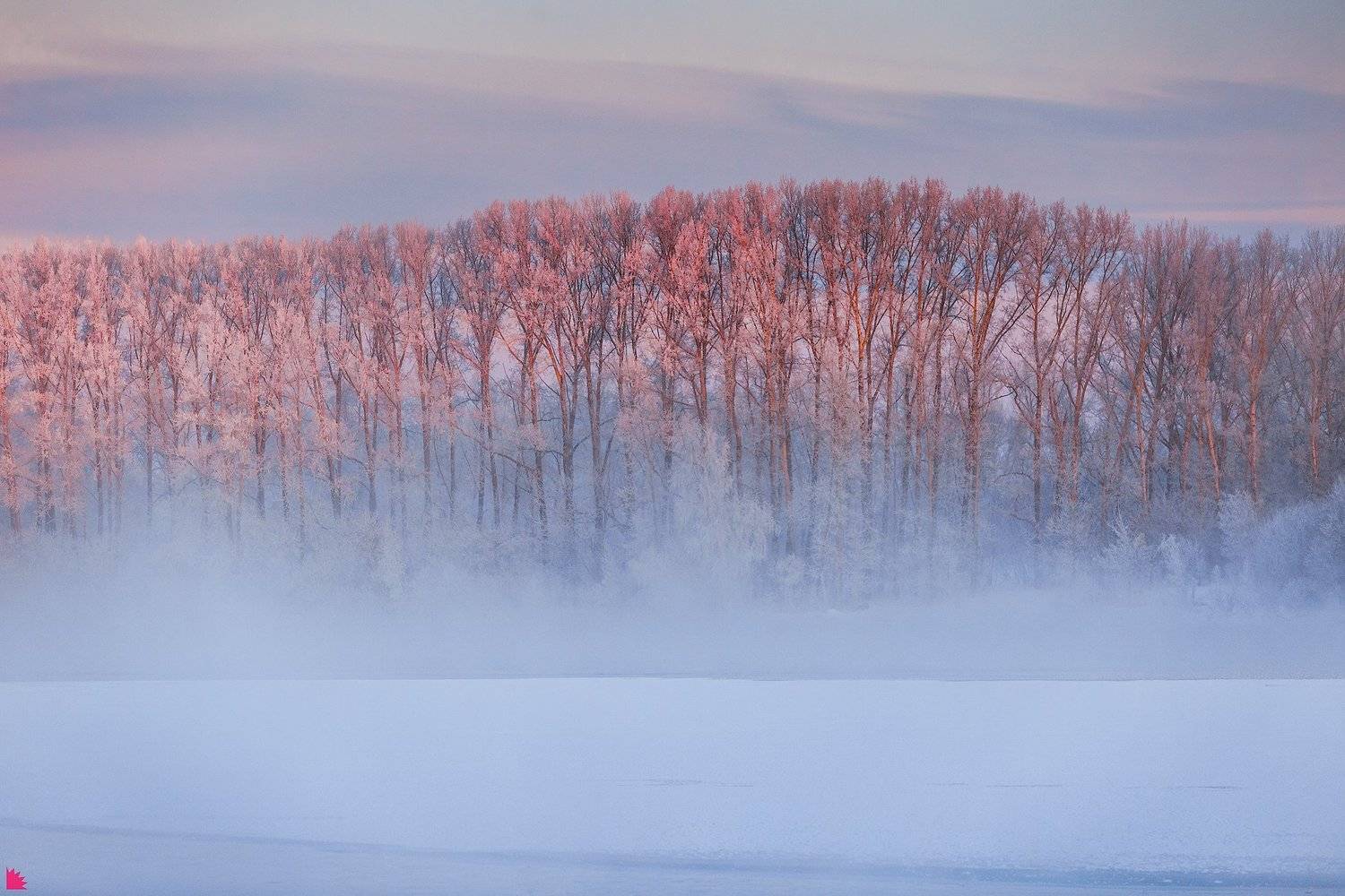 Утро. Автор: Осипов Ёжъ Александр , Осипов Ёжъ Александр