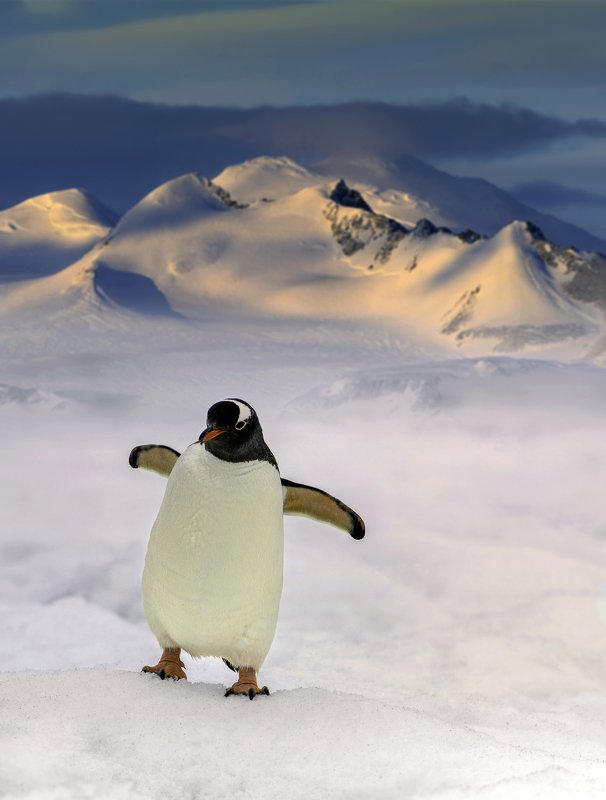 Hug from the end of the world..photo preview