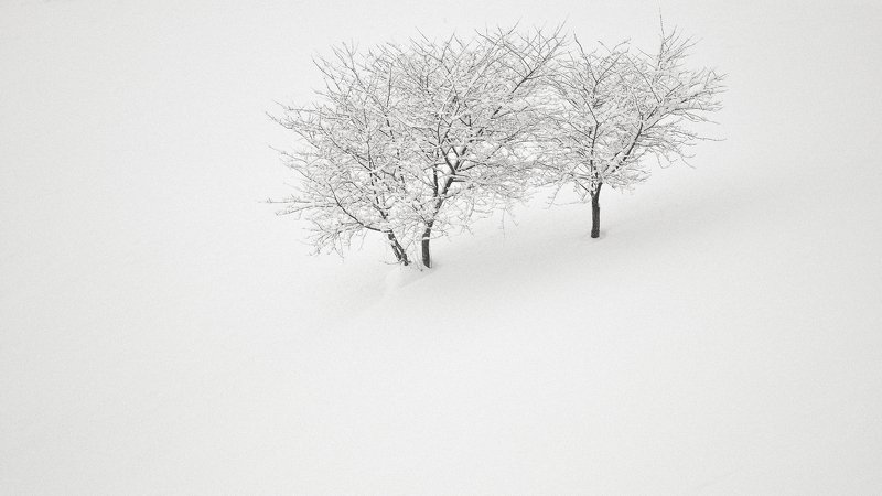 dream,landscape,alexandrucrisan,nature,scenery,countryside,far,away,romania,dreamland,magic,sound,lonely,myromania,forest,trees,winds,hill,tree,white,poem,haiku,minimalism,minimal,winterscape,cold,freeze,breeze,panoramic,wintertale,for,mist,skin,whiteveil Stay togetherphoto preview