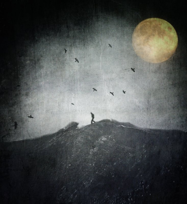 The Final Frontier...photo preview